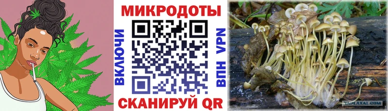 Псилоцибиновые грибы Psilocybe  blacksprut зеркало  Правдинск  хочу  